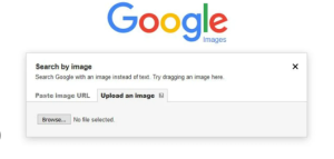 Make $171 Per Image With Google Reverse Image Search